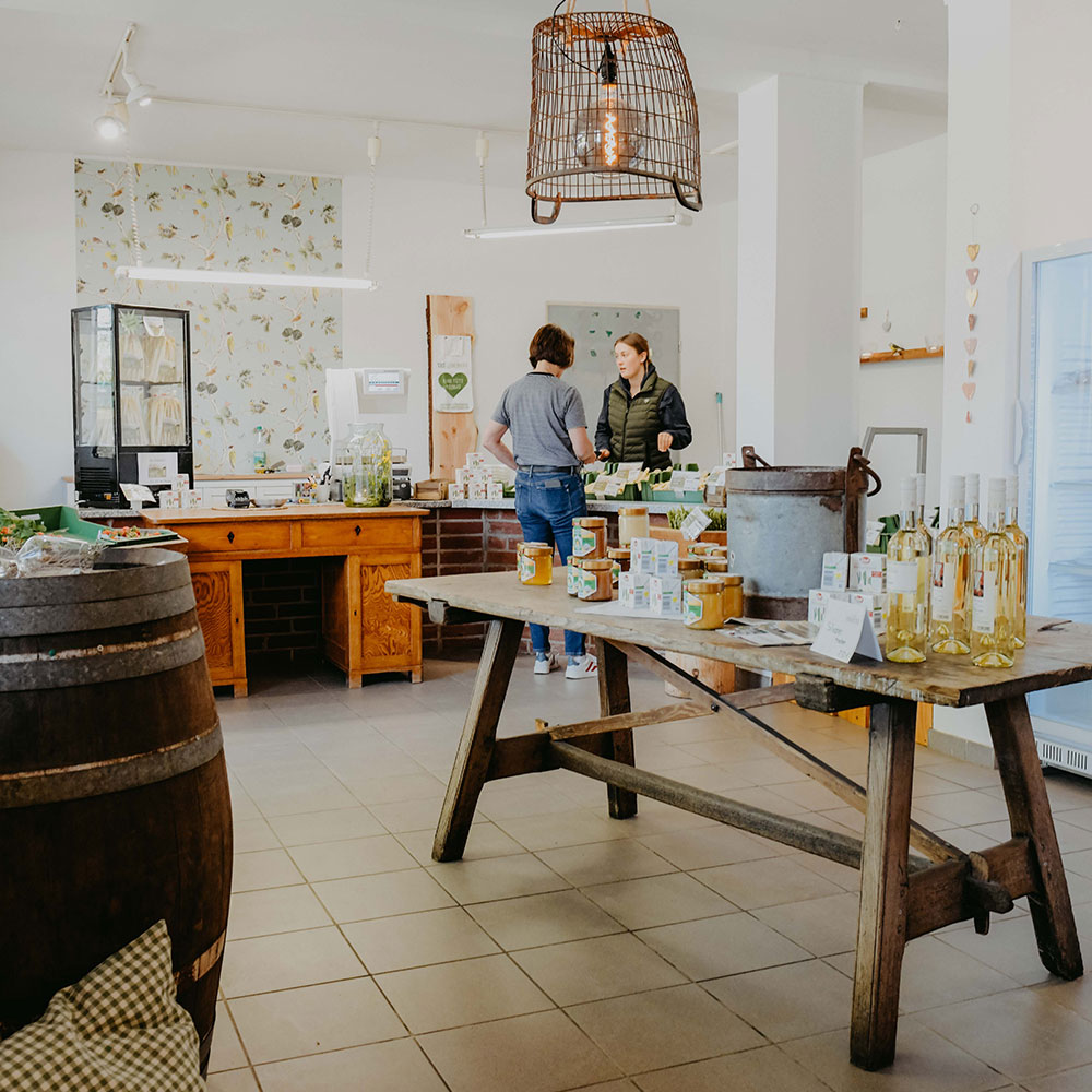 Leinemann-Start-Galerie-2