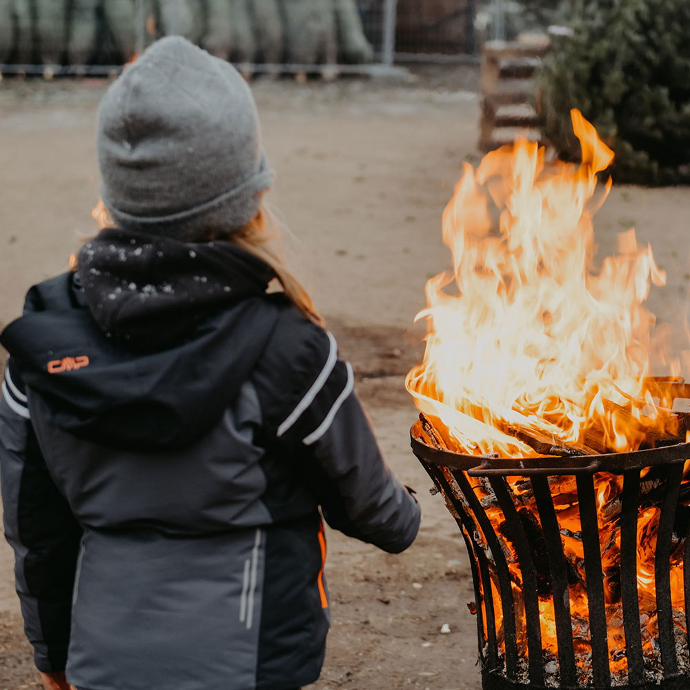 Leinemann-Start-Galerie-3