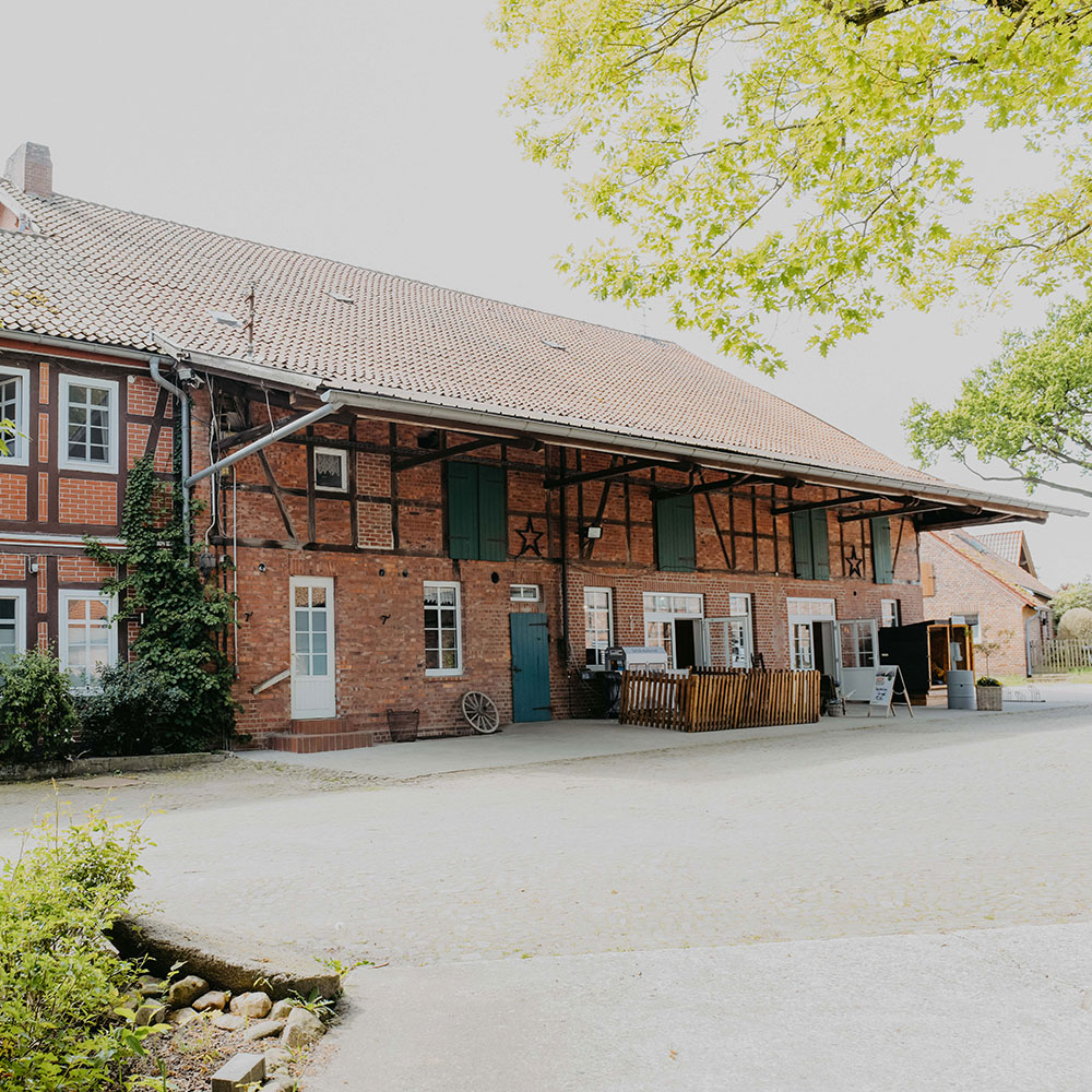 Leinemann-Start-Galerie-4